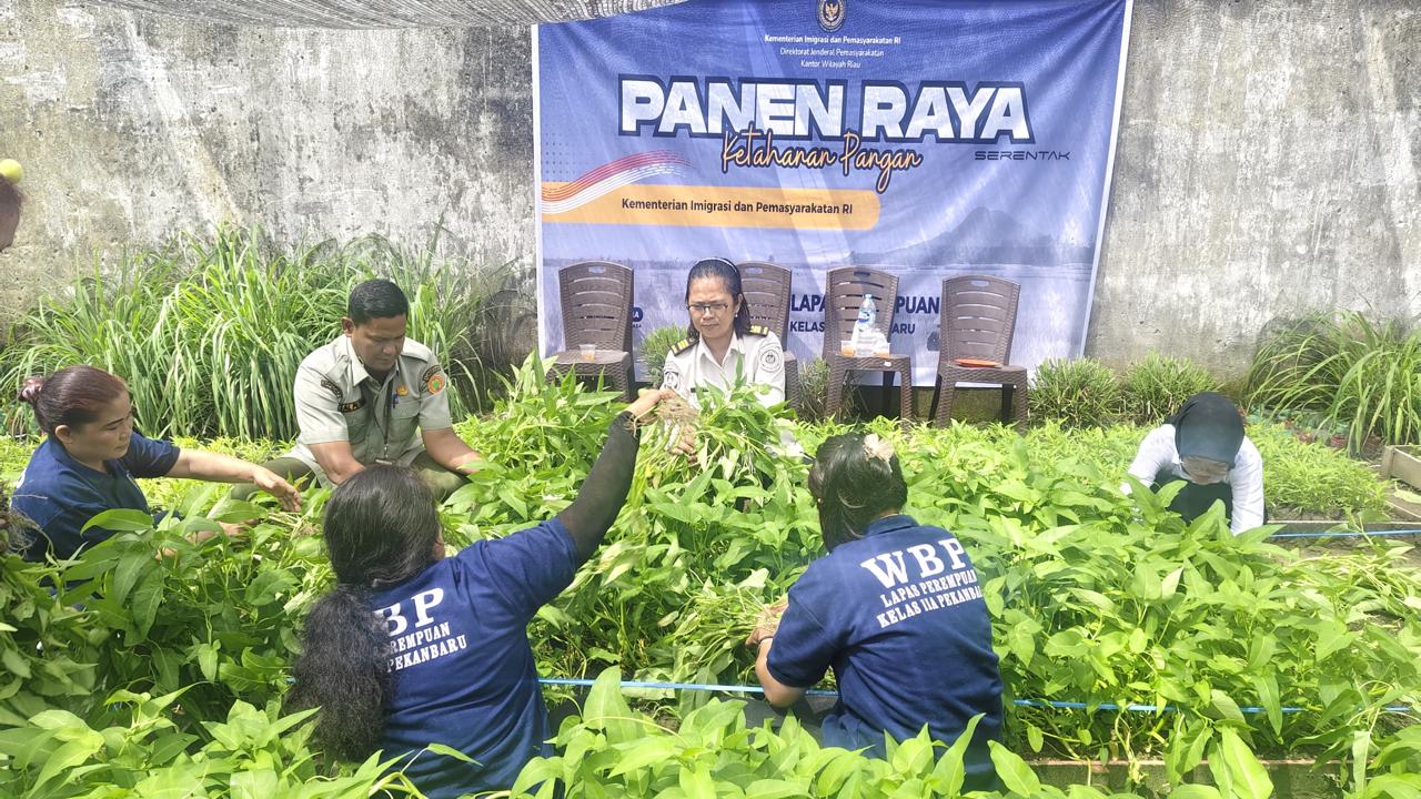 Aksi Nyata Ketahanan Pangan, Lapas Perempuan Pekanbaru Gelar Panen Raya Serentak